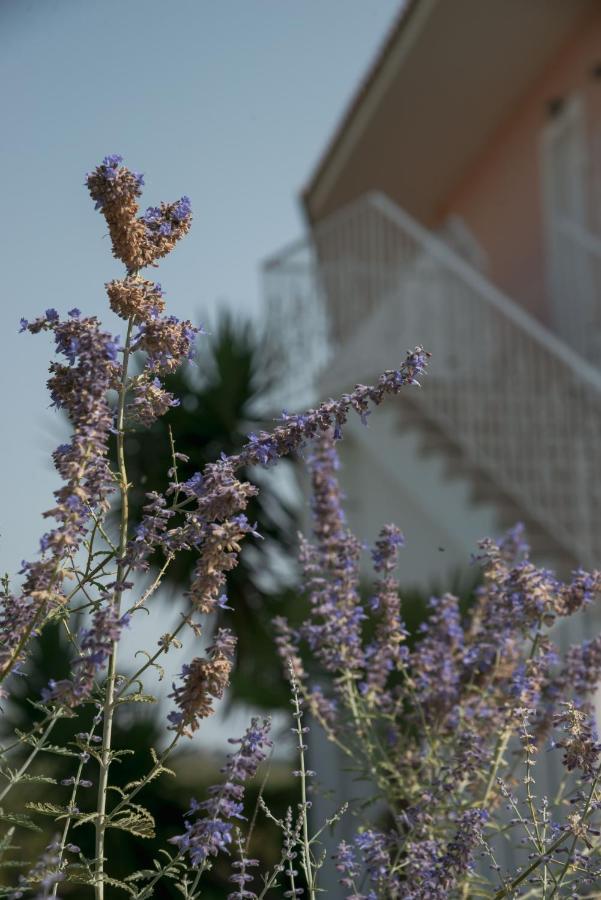 Hotel Ecoresort Zefyros Áyios Kírikos